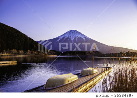 (静岡県)薄氷のはった田貫湖から望む富士山 夜明け (静岡県)薄氷のはった田貫湖から望む富士山 夜明け 56584397