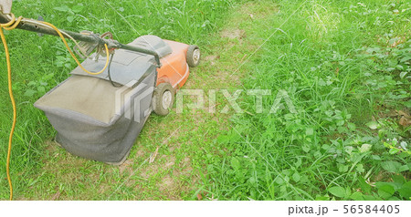 Car electric lawnmower. For cutting grass in the 56584405