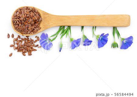 flax seeds in wooden spoon with flower isolated on white background 56584494