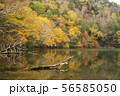 秋の湯の湖 56585050