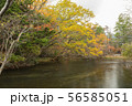 秋の湯の湖 56585051