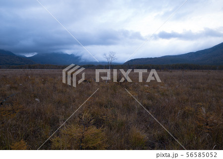 秋の湯の湖 56585052