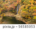 回顧の滝 56585053