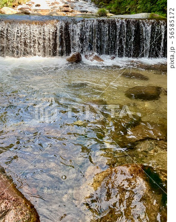川ー渓流 川ー渓流 56585172