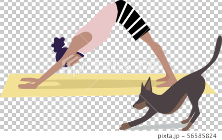 瑜伽下來狗姿勢 56585824