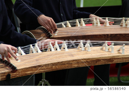 琴の演奏会 56586540
