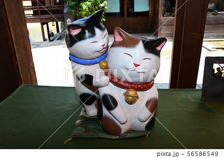 招き猫 56586549