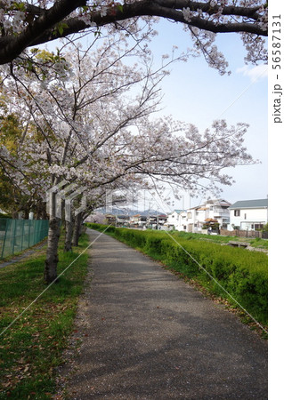 天神川 天神川 56587131