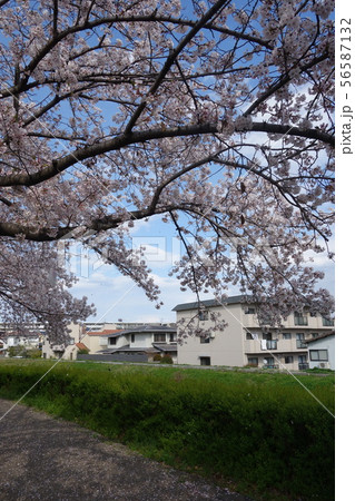 天神川 56587132