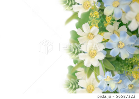 Blurred flowers and yellow pollen with green leaf Blurred flowers and yellow pollen with green leaf 56587322