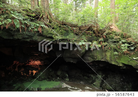 鳴沢氷穴 56587643