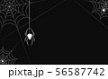 Spider web vector on black background 56587742