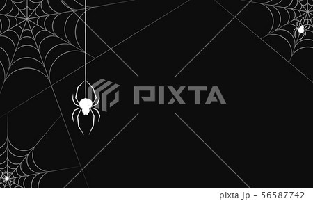 Spider web vector on black background 56587742