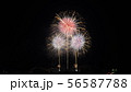 花火　おいでん夏祭り　2019 56587788