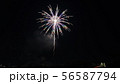 花火　おいでん夏祭り　2019 56587794