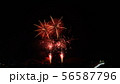 花火　おいでん夏祭り　2019 56587796