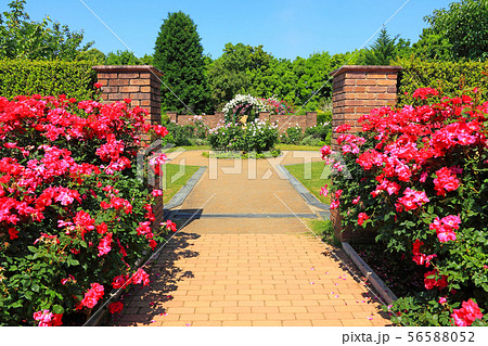 バラガーデンの広場の入口 バラガーデンの広場の入口 56588052