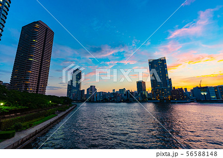 台風後の佃島周辺の高層マンションの夜景 台風後の佃島周辺の高層マンションの夜景 56588148