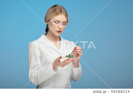Young beautiful blonde woman in white coat and goggles on blue background. Holds tweezers and a leaf Young beautiful blonde woman in white coat and goggles on blue background. Holds tweezers and a leaf 56588224