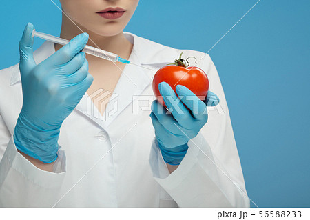 A woman biologist scientist in the lab, in a white coat, and rubber gloves on a blue background A woman biologist scientist in the lab, in a white coat, and rubber gloves on a blue background 56588233