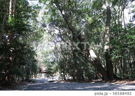 御塩殿神社の参道 56588492