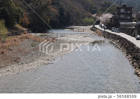 五十鈴川 56588509