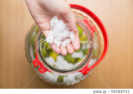 梅ジュース作り 56588741