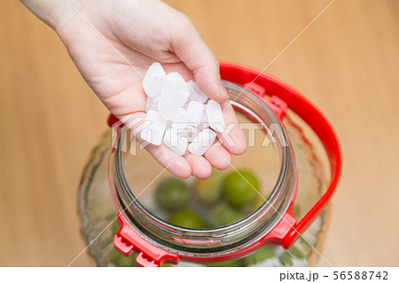 梅ジュース作り 56588742