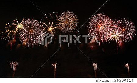 2019 うつのみや花火大会 （ 栃木県宇都宮市 ） 鬼怒川 道場宿緑地 56590114