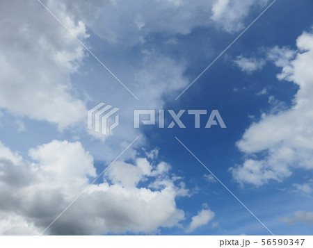 空 56590347
