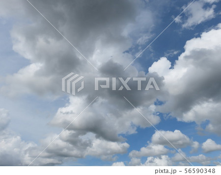 空 56590348