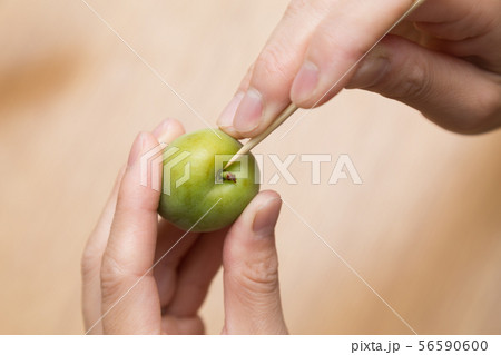 梅のヘタ取り 56590600