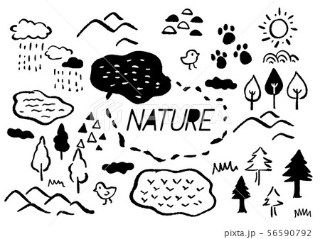 自然 森林 手描きイラスト モノクロのイラスト素材