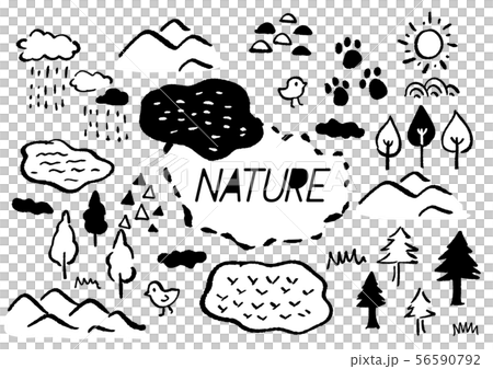 自然　森林　手描きイラスト　モノクロ 56590792