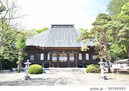 真岡市　専修寺 56590995