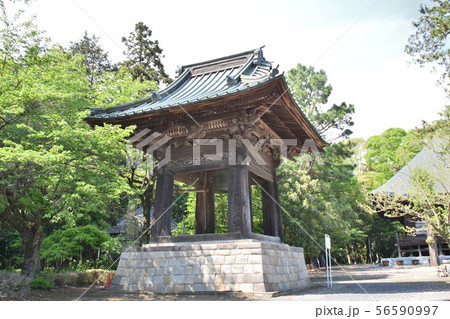 真岡市　専修寺 56590997