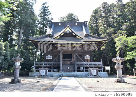 真岡市　専修寺 56590999