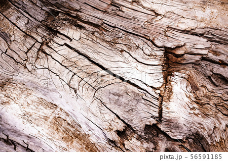 Detail of an old weathered wooden trunk 56591185