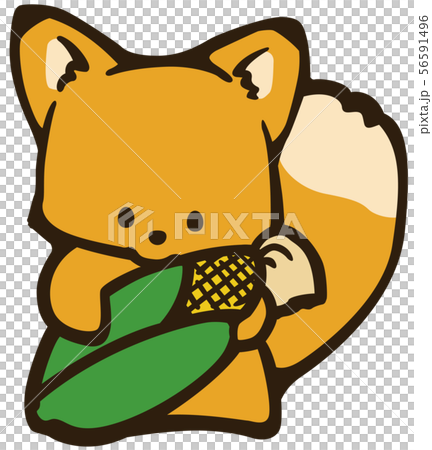 Illustration of a fox holding corn 56591496