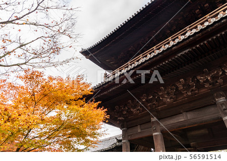 三門 大本山南禅寺 京都左京区 三門 大本山南禅寺 京都左京区 56591514