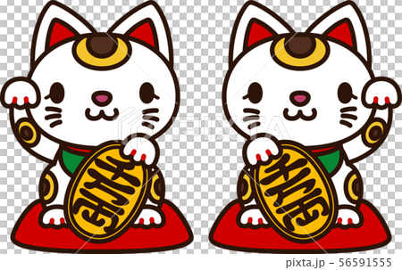 Lucky cat illustration 56591555