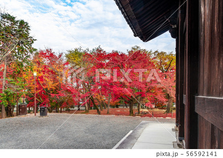 三門から見た紅葉 京都南禅寺 三門から見た紅葉 京都南禅寺 56592141