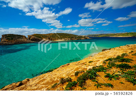 マルタ コミノ島 The Blue Lagoon マルタ コミノ島 The Blue Lagoon 56592826