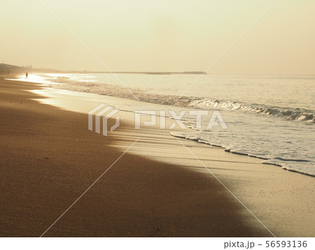 夏の早朝海 夏の早朝海 56593136
