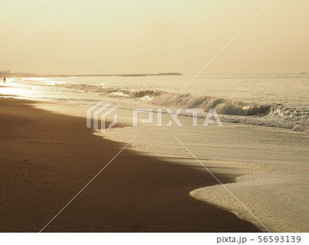 夏の早朝海 夏の早朝海 56593139