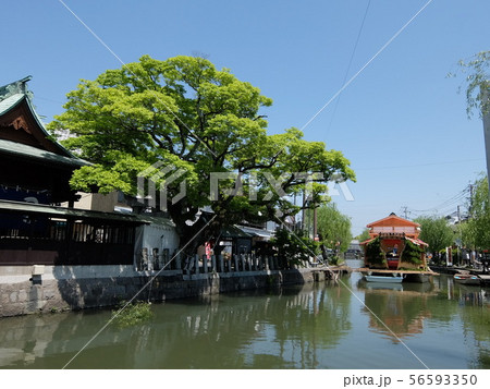 水郷柳川の沖端水天宮 56593350