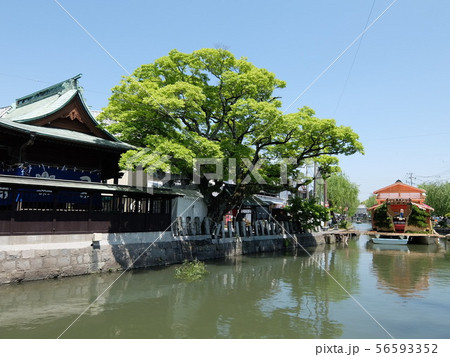 水郷柳川の沖端水天宮 水郷柳川の沖端水天宮 56593352