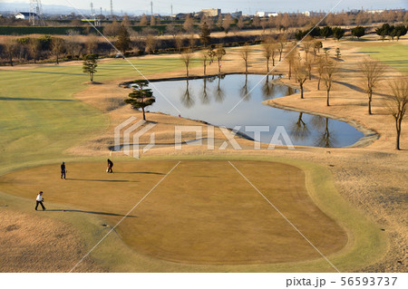 秋、冬のゴルフコース 秋、冬のゴルフコース 56593737