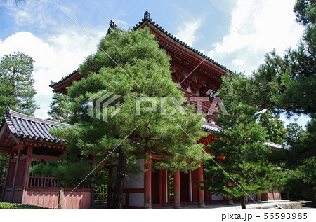 大徳寺・山門 大徳寺・山門 56593985