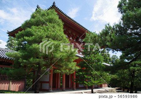 大徳寺・山門 56593986